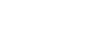 smartphone